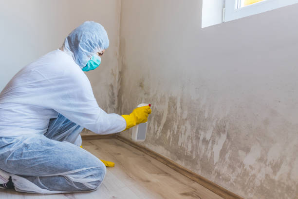 Mold Remediation specialist working in McVeytown